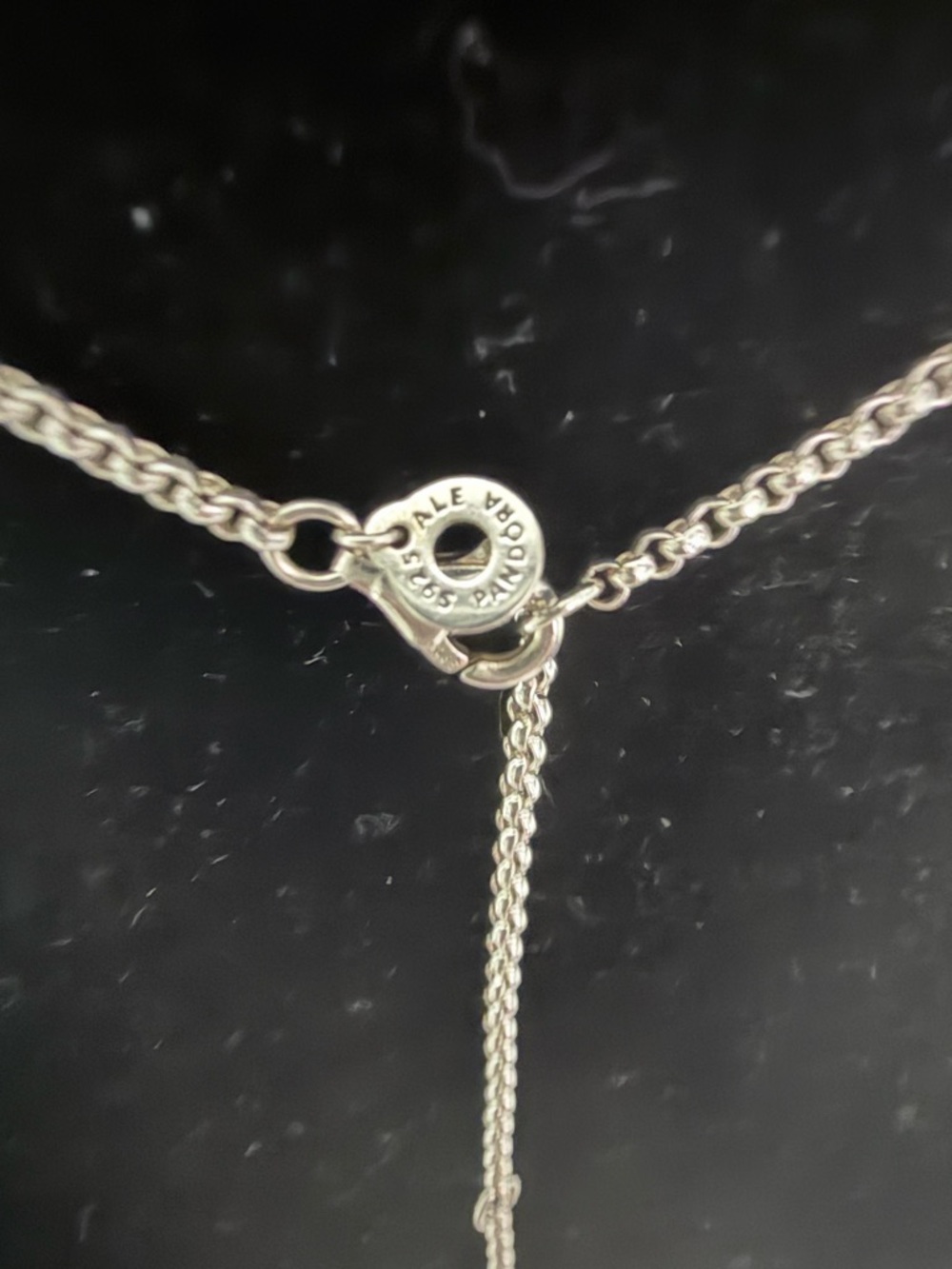 Pandora Silver Rope Chain Necklace - Silver - Picture 2 of 5